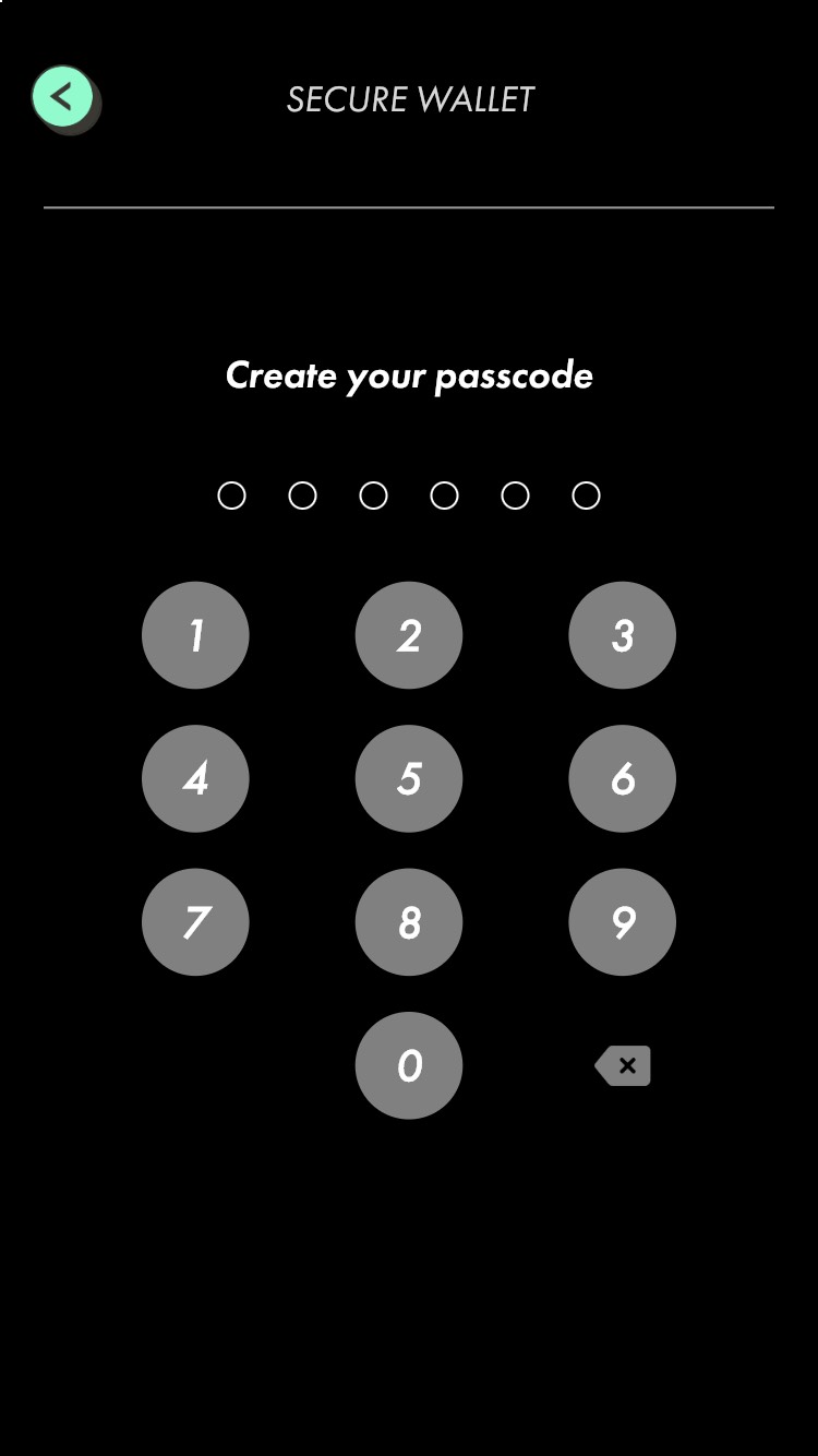 STEPN-6桁のパスワードを入力